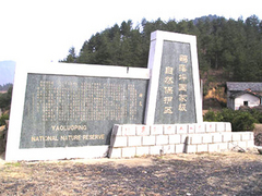 鹞落坪图片