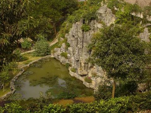 江北铁山坪农家乐图片