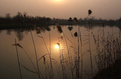 阜阳西湖