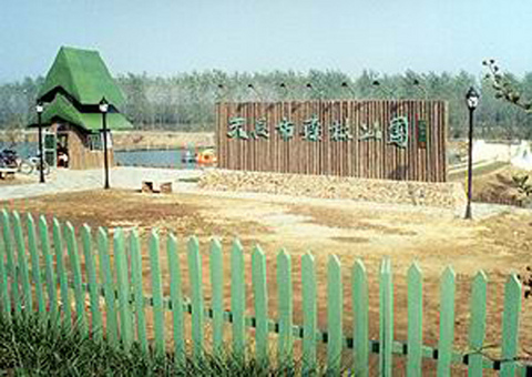 天长森林公园图片