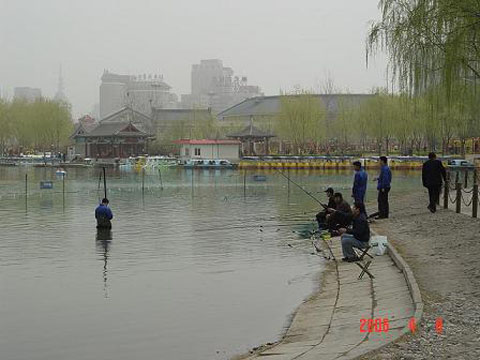 莲花池公园图片