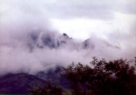 莲峰云海图片