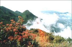 雨台山风景区图片