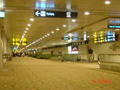 樟宜国际机场 樟宜国际机场6