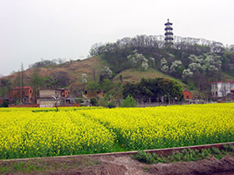 青山风景区图片