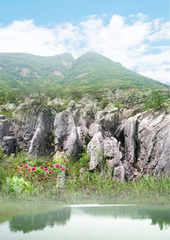 丫山花海石林图片