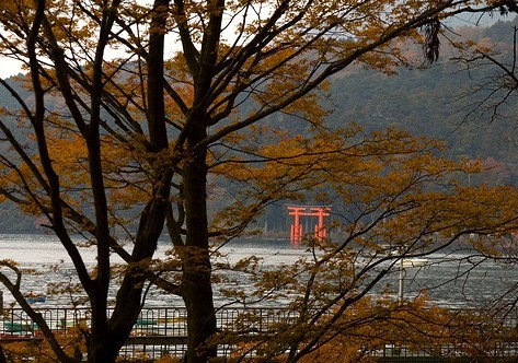 芦之湖图片
