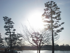 岚山 岚山3