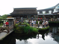 忍野八海图片
