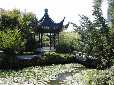 中国城图片
