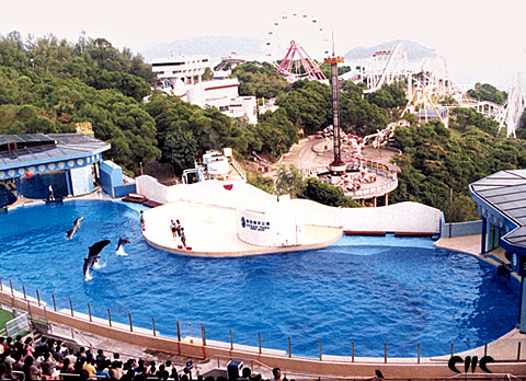 海洋馆图片