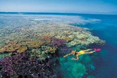 滑浪者天堂海滩`