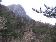 洛南县老君山图片