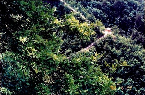 洛南县老君山图片
