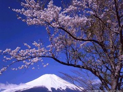 [端午]<大阪-京都-名古屋-箱根-东京6日游>境外推荐自费