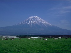 [端午]<大阪-京都-箱根-横滨-东京6日游>深度畅游主题乐园