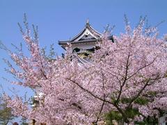 大阪城公园 大阪城公园4