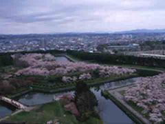 五稜郭公园 五?郭公园