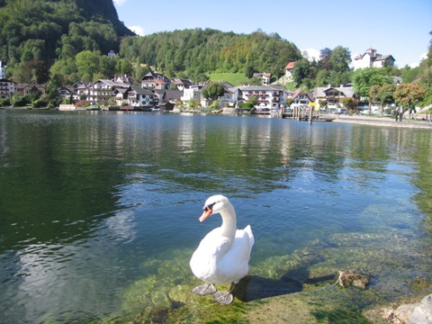 月亮湖 - 月亮湖