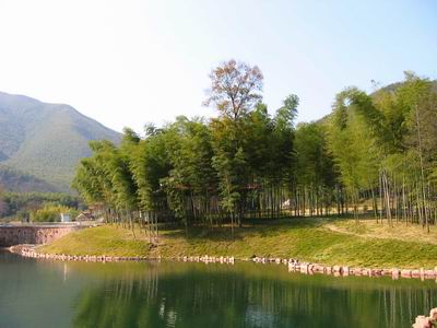 <em>宜兴市竹海</em>风景区4 - <em>宜兴市竹海</em>风景区的<em>照片</em>