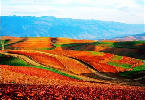 东川红土地5 - 东川红土地的照片\/昆明\/云南