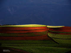 东川红土地图片