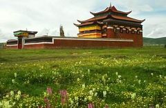 阿坝高原图片