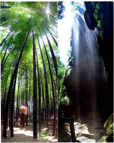 天井峡地缝 峡谷 重庆 奉节 天井峡地缝1
