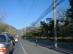 DSCF8563