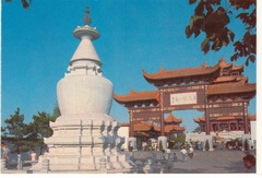 2005101416135790849
