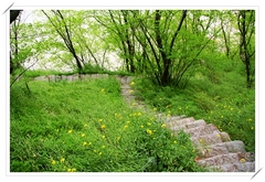 小孤山