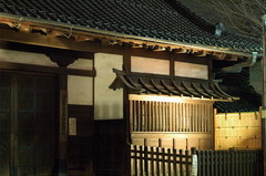 东京浅草寺 DSC_3702