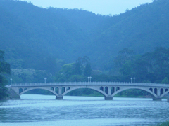 2005111816480631795[1]