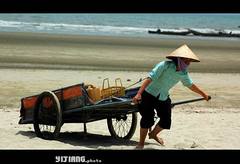 万柱海滩 好