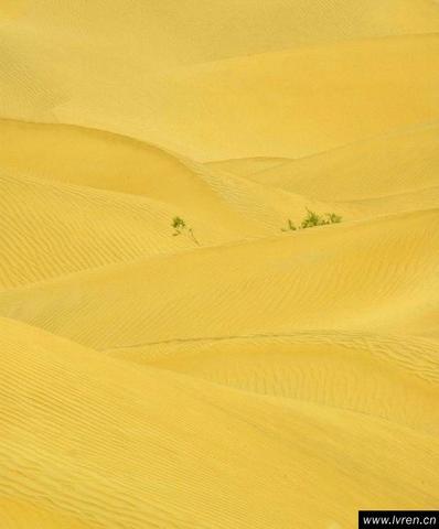 塔克拉玛干沙漠图片