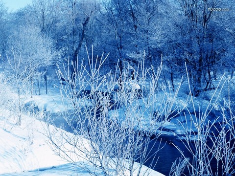 上海到(东京北海道7日)滑雪乐园，温泉烤肉美食，两天自由活