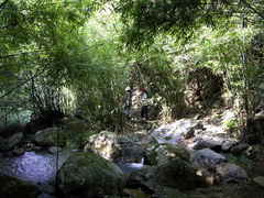 2005120714345688645