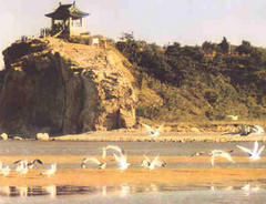 鸽子窝公园图片