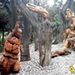 秦岭野生动物园