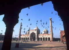 印度Delhi图片