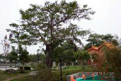 pic0607-b