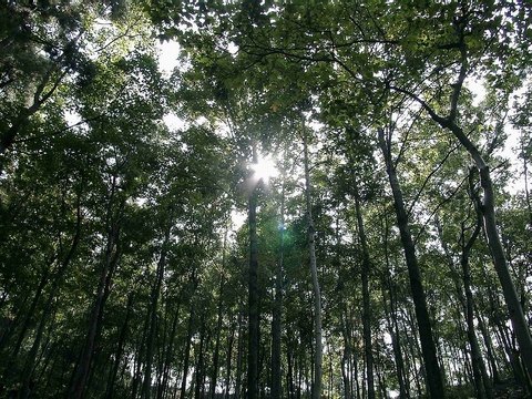 黔灵公园图片