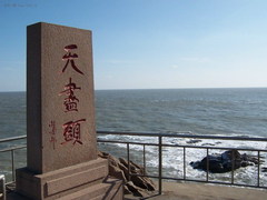 东寨港红树林图片