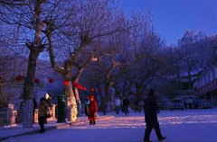 牯岭镇图片