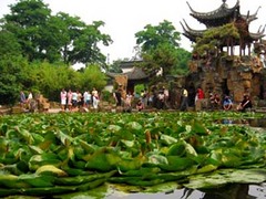 花径图片