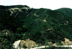 大黑山图片