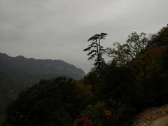 紫柏山图片