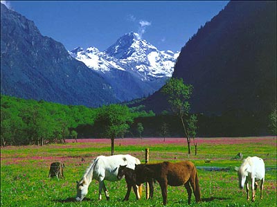 2 - <em>四姑娘山</em>的<em>照片</em>/阿坝/四川 - 途牛旅游网
