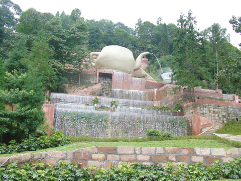 蒙顶山图片