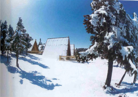 pic44 - <em>仙女山</em>的照片/<em>武隆</em>/重庆 - 途牛<em>旅游网</em>
